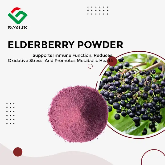 Elderberry Extract Powder